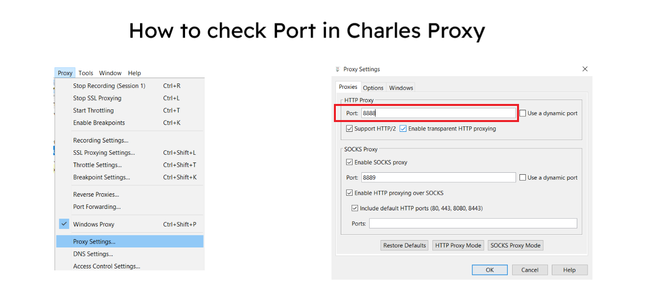 Instruction on how to check port in Charles