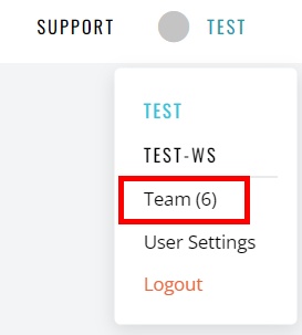 Team in the Account menu